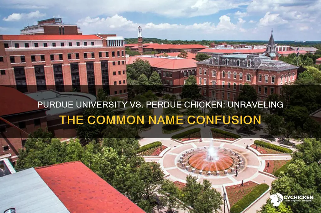 is purdue university related to perdue chicken