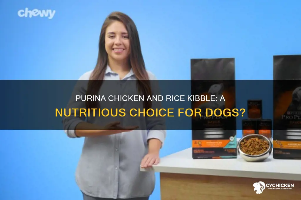 is purina dog food chicken and rice kibble