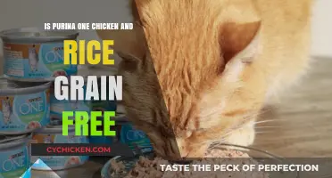 Is Purina One Chicken and Rice Grain-Free? A Detailed Review
