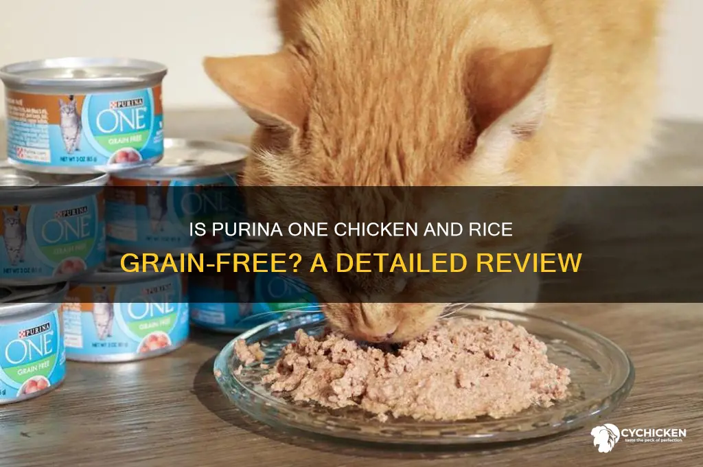 is purina one chicken and rice grain free