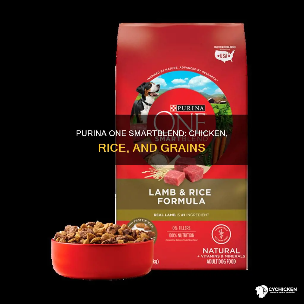 is purina one smartblend chicken and rice grain free
