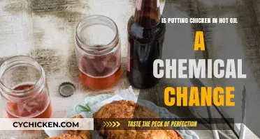 Chicken in Hot Oil: A Chemical Change?