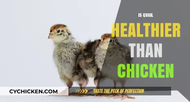 Quail vs. Chicken: Unraveling the Health Benefits Debate