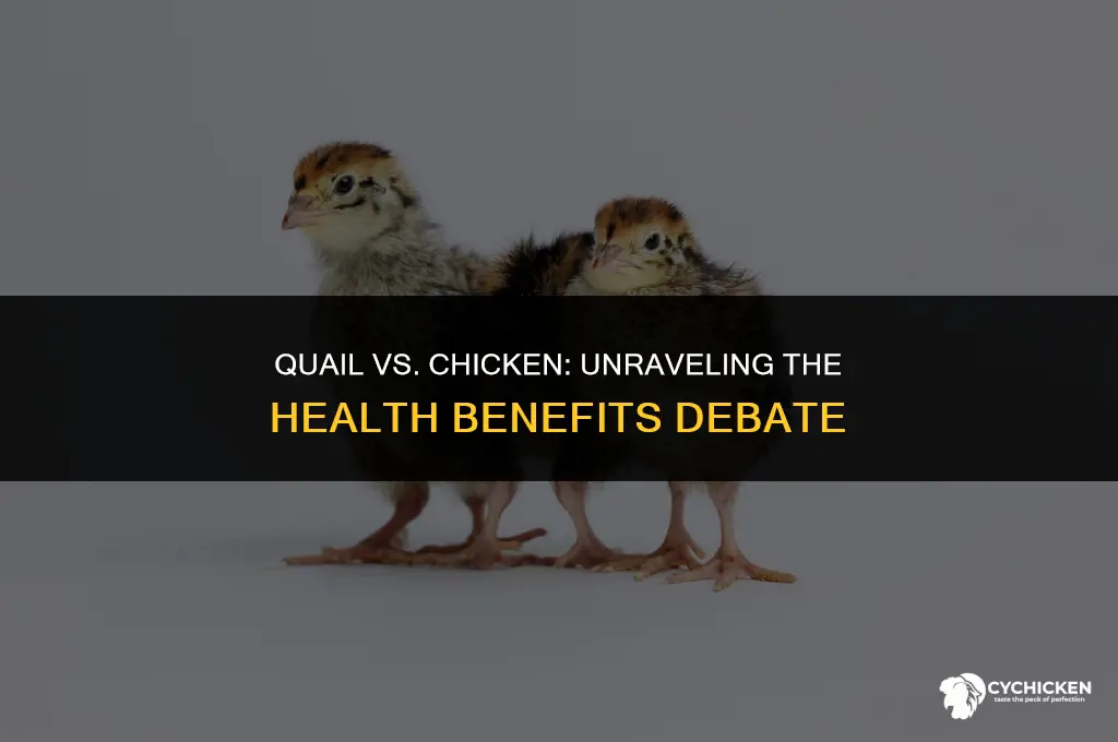 is quail healthier than chicken