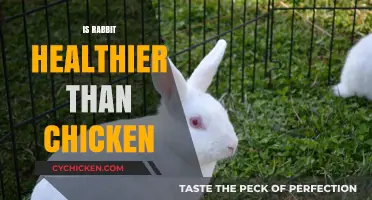 Unveiling the Nutritional Truth: Rabbit vs. Chicken Diet Showdown