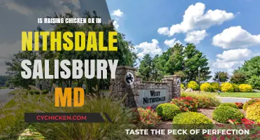 Is Raising Chickens Allowed in Nithsdale, Salisbury, MD?