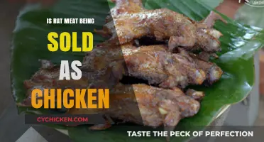 Is Rat Meat Disguised as Chicken? Uncovering the Truth Behind the Rumors