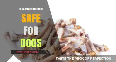 Raw Chicken Bones for Dogs: Safe or Serious Health Risk?