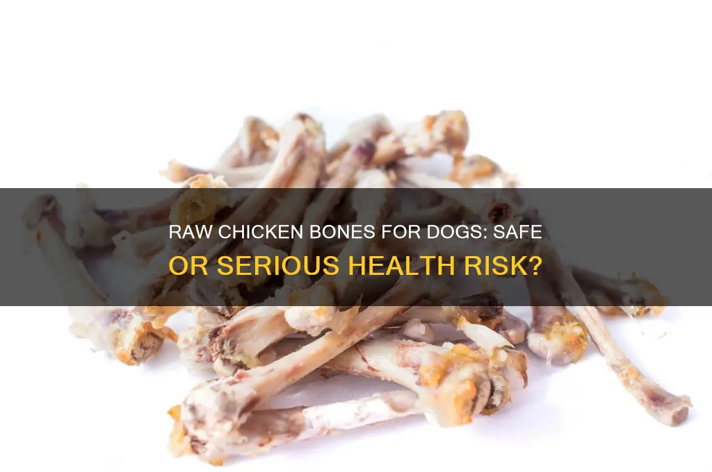 is raw chicken bone safe for dogs