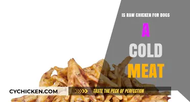 Is Raw Chicken for Dogs a Cold Meat? Facts and Risks