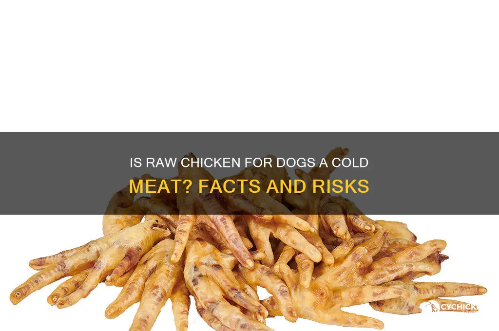 is raw chicken for dogs a cold meat