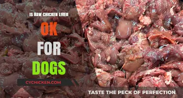 Can Dogs Eat Raw Chicken Liver? Safety and Benefits Explained
