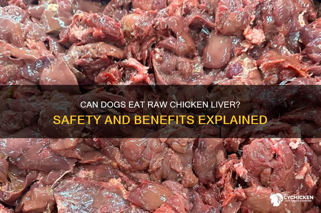 is raw chicken liver ok for dogs