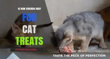 Raw Chicken as Cat Treats: Safe or Risky Choice?