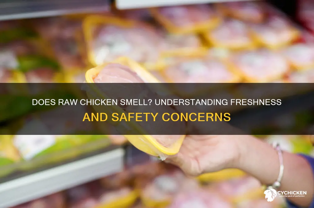 is raw chicken supposed to have a smell
