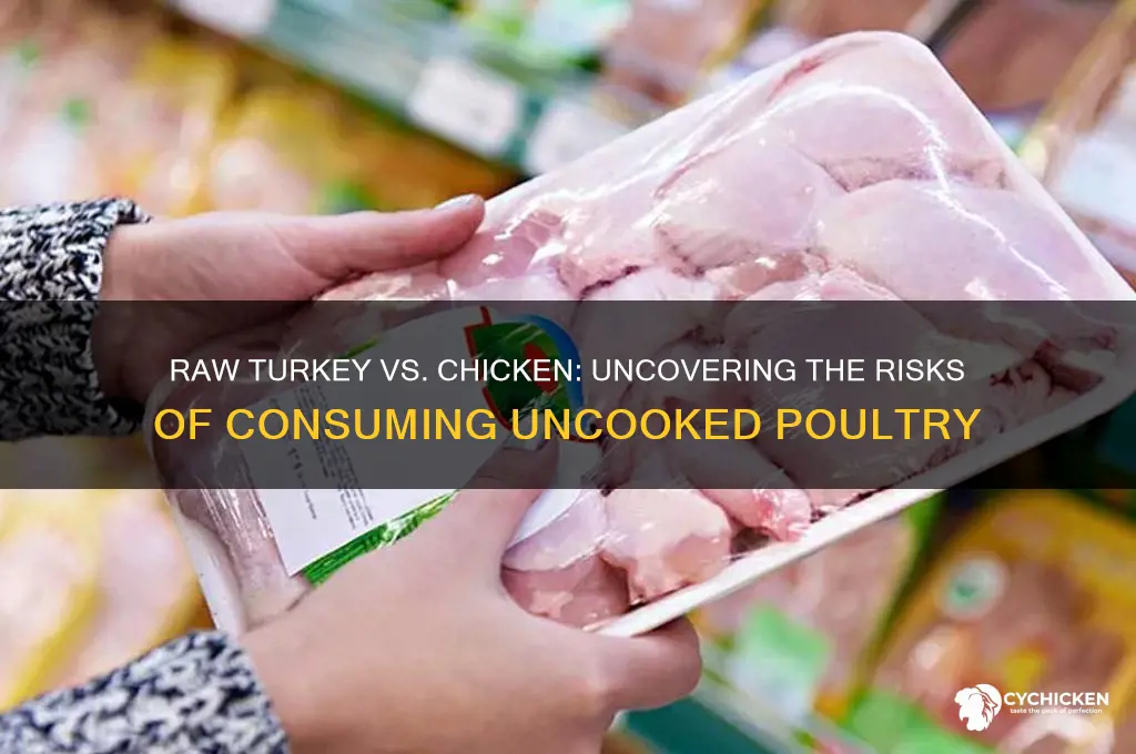 is raw turkey as dangerous as raw chicken