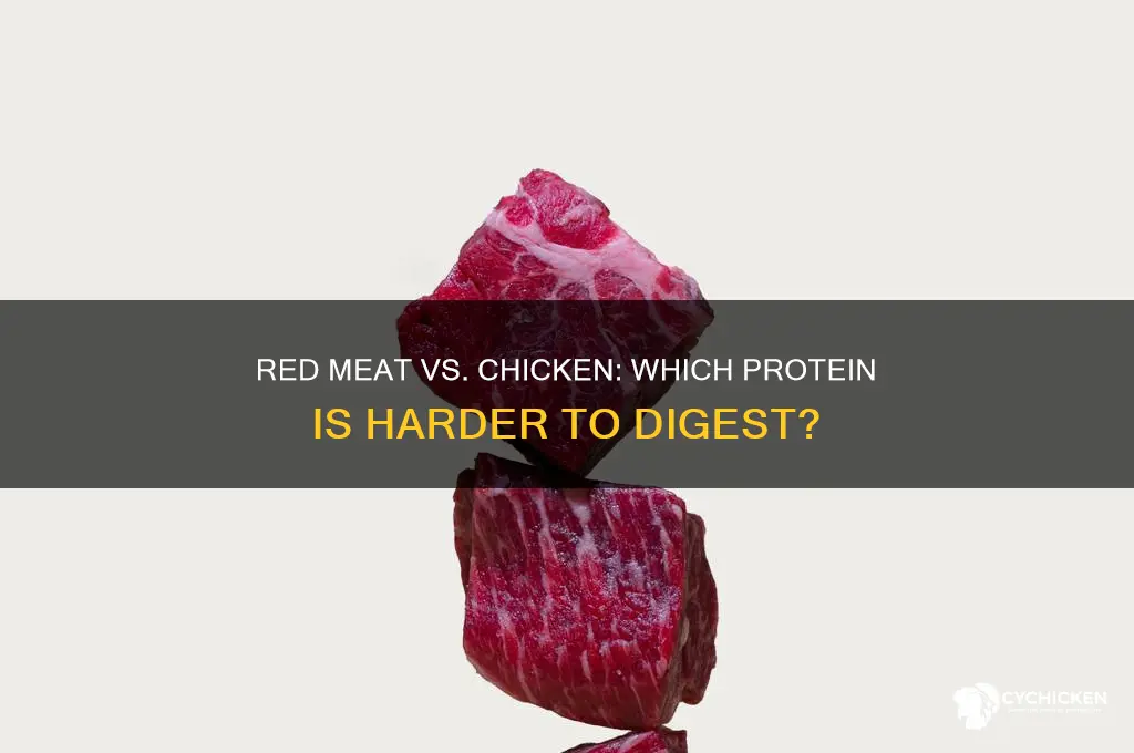 is red meat harder to digest than chicken