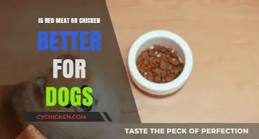 Red Meat vs. Chicken: Which Protein is Best for Dogs?