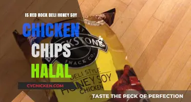 Honey Soy Chicken Chips: Halal or Not?