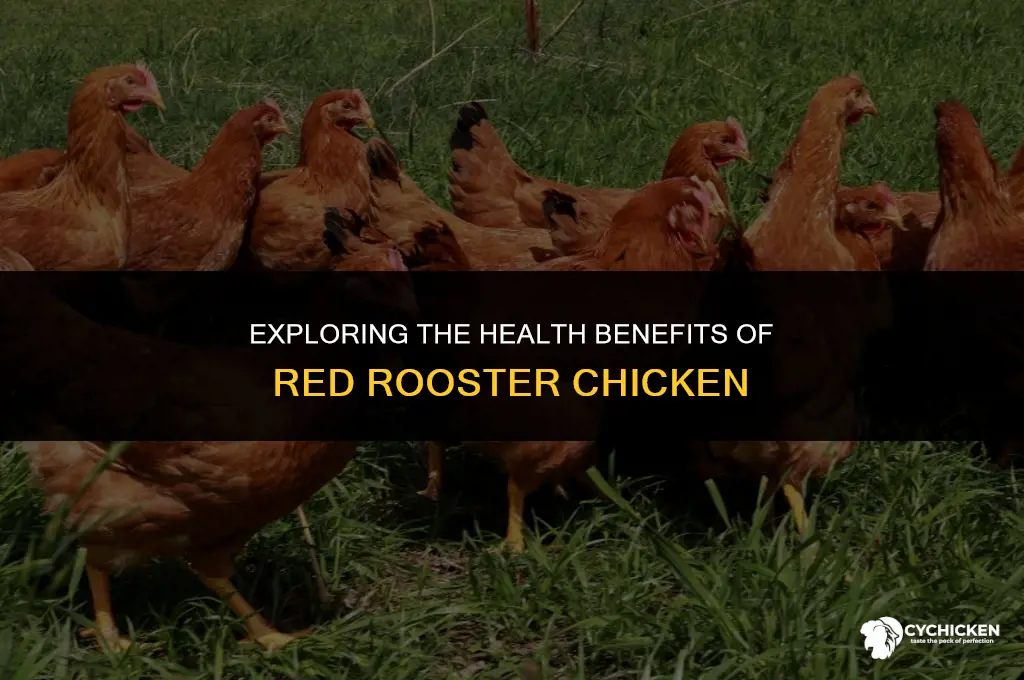 is red rooster chicken healthy