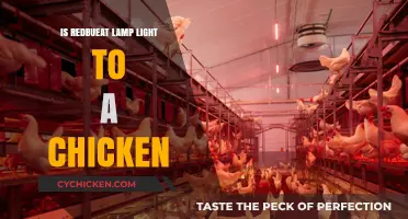 Red Light Impact: How Redbeat Lamps Affect Chickens' Behavior and Health