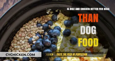 Rice, Chicken, or Dog Food: What's Best for Your Pup?