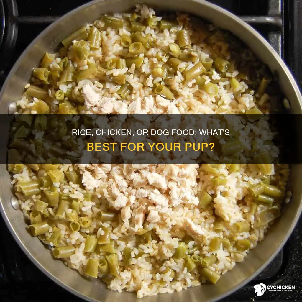 is rice and chicken better for dogs than dog food