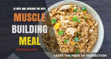Chicken and Rice: Ultimate Muscle-Building Meal?