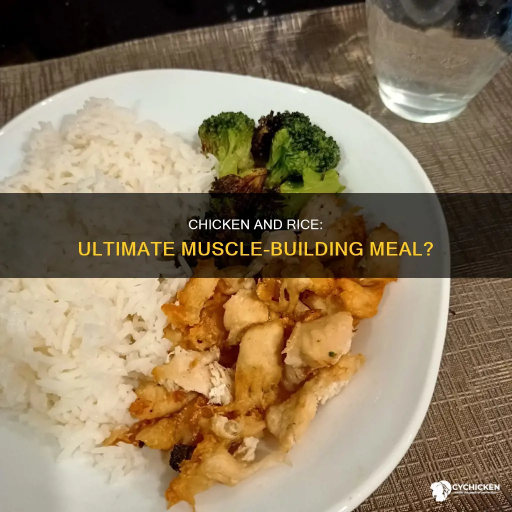 is rice and chicken the best muscle building meal