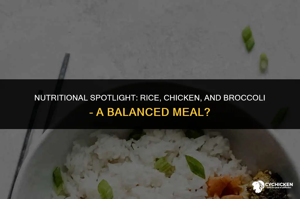 is rice chicken and broccoli healthy