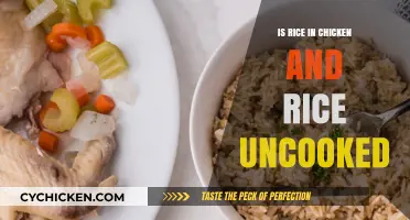 Is Rice in Chicken and Rice Served Uncooked? Let's Find Out