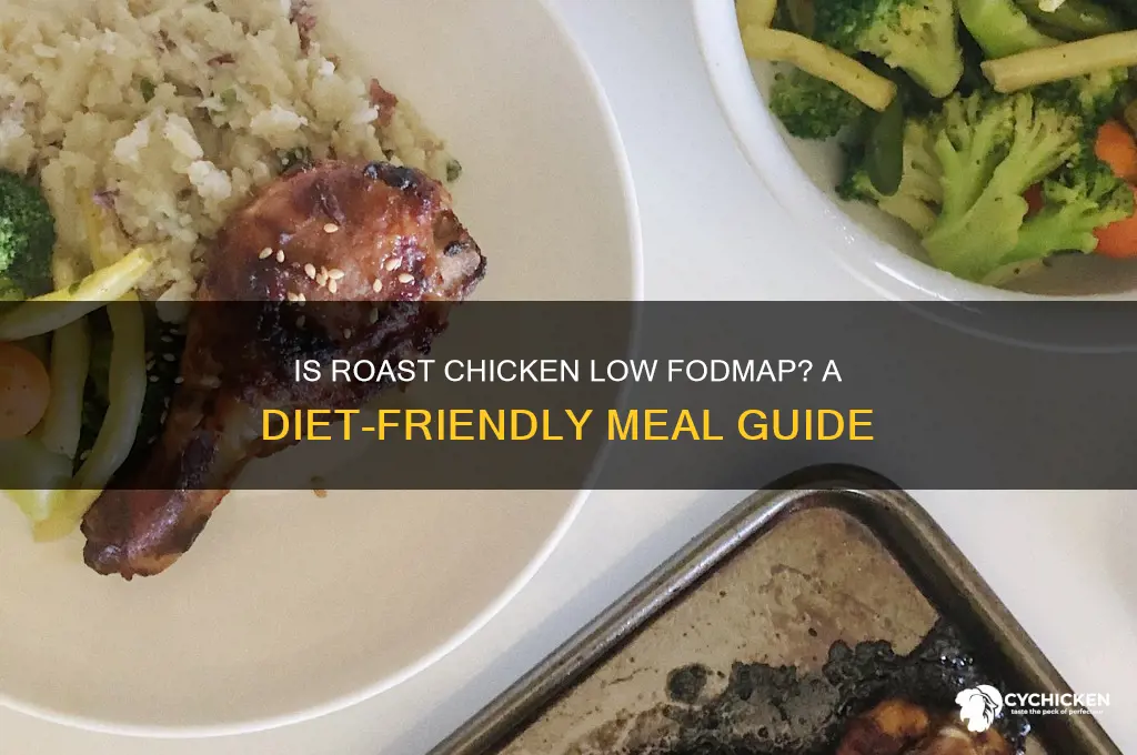 is roast chicken low fodmap
