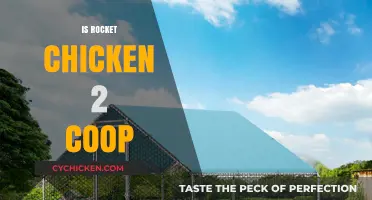 Exploring the Coop: Is Rocket Chicken 2 a Worthy Sequel?