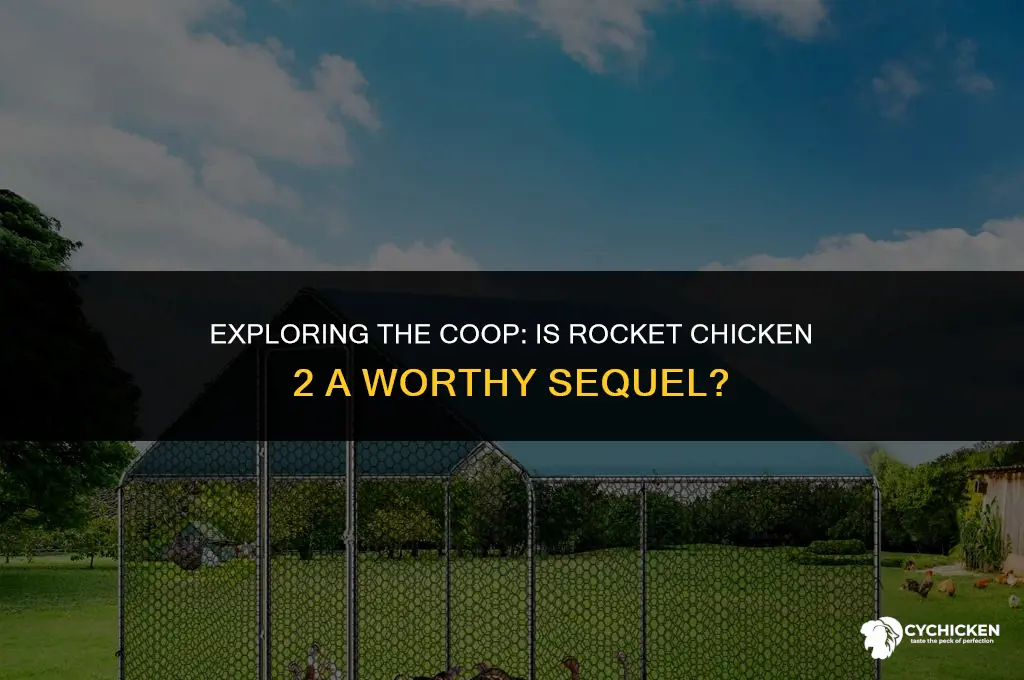 is rocket chicken 2 coop