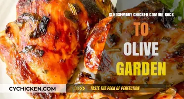Will Olive Garden Bring Back Rosemary Chicken? Fans Demand Answers