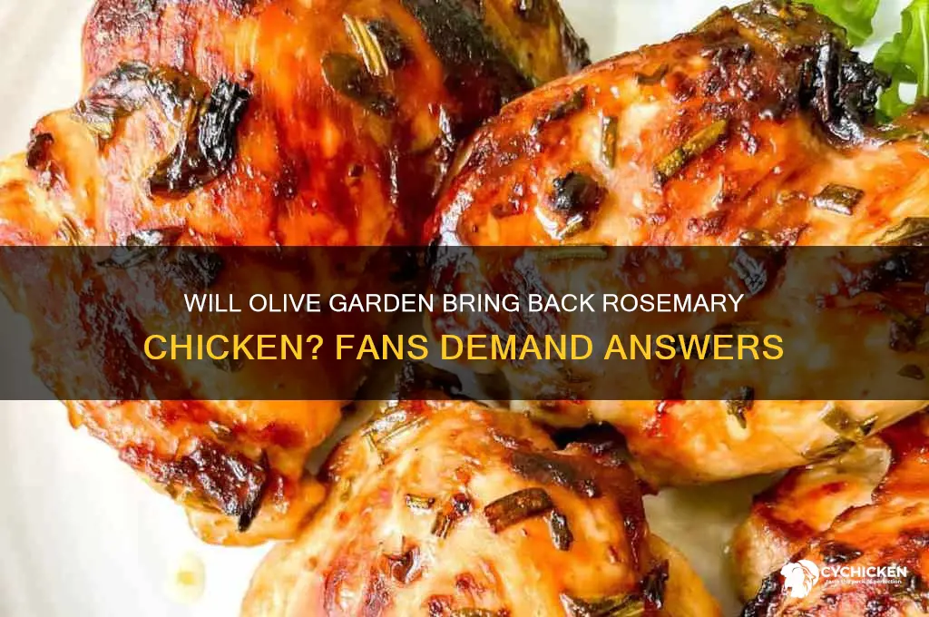 is rosemary chicken coming back to olive garden