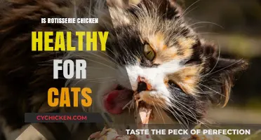 Rotisserie Chicken for Cats: A Healthy Treat or Risky Indulgence?