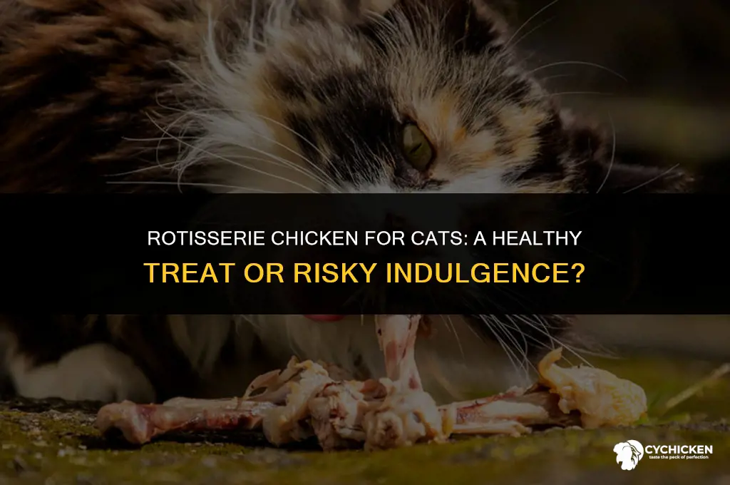 is rotisserie chicken healthy for cats