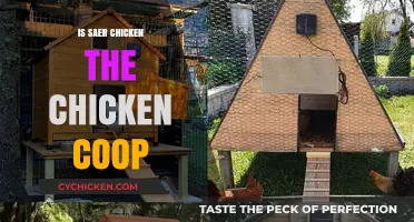 Exploring the Myth: Is Saer Chicken Really from the Coop?