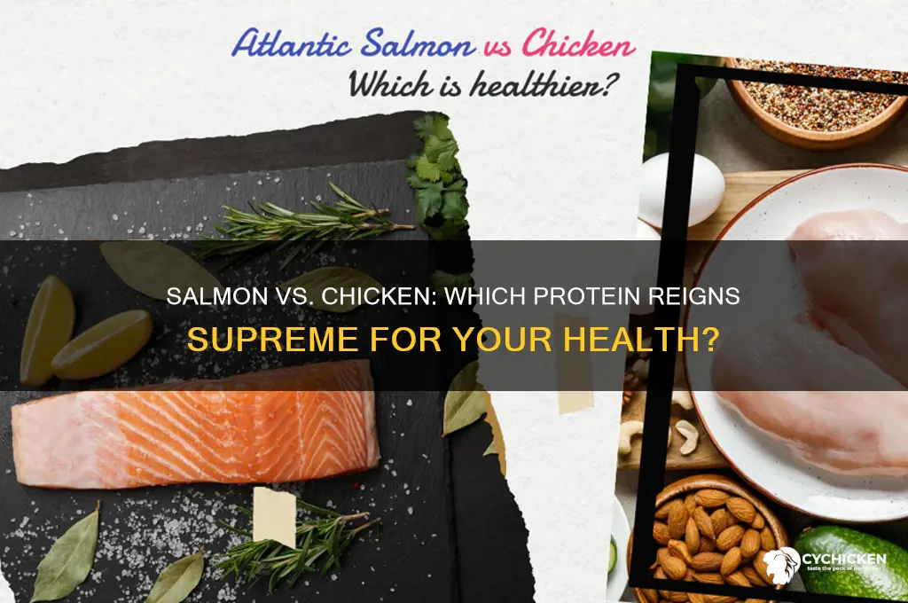is salmon better for you than chicken
