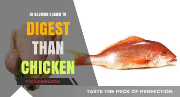 Salmon vs. Chicken: Which Protein is Easier on Your Digestive System?