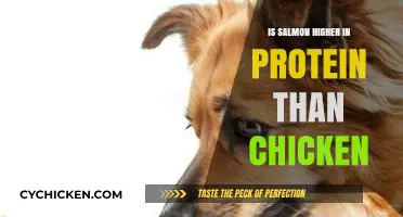 Salmon vs. Chicken: Which Protein Source Packs More Punch?