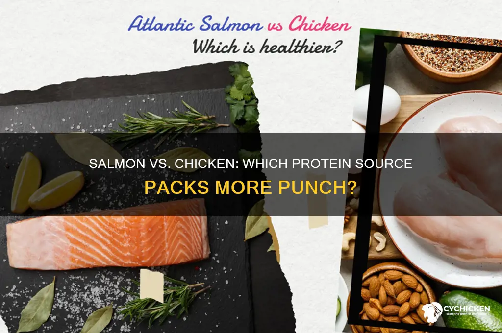 is salmon higher in protein than chicken