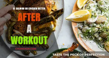 Salmon vs. Chicken: Which Protein Boosts Post-Workout Recovery Better?