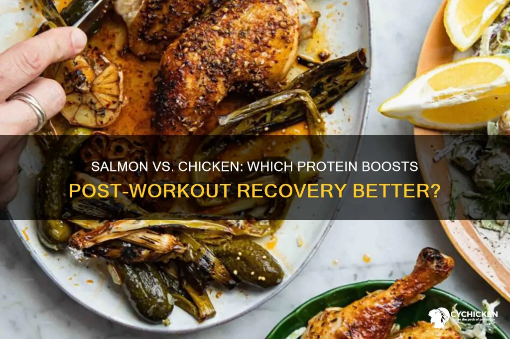 is salmon or chicken better after a workout