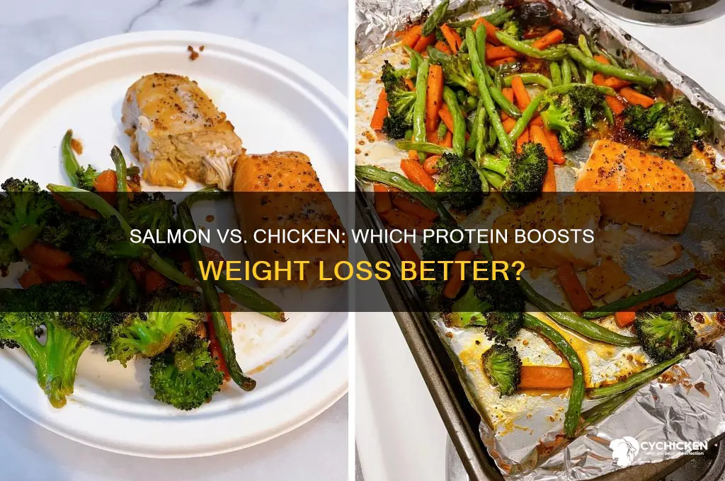is salmon or chicken better for weight loss