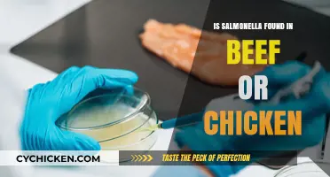 Salmonella Risks: Beef vs. Chicken – Which Is Safer?