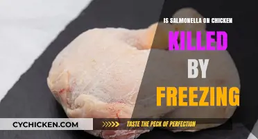 Does Freezing Chicken Eliminate Salmonella? Facts and Food Safety Tips