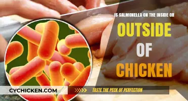 How Salmonella Gets Inside Chicken