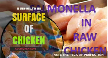 Salmonella on Chicken: Surface Risks and Safe Handling Tips